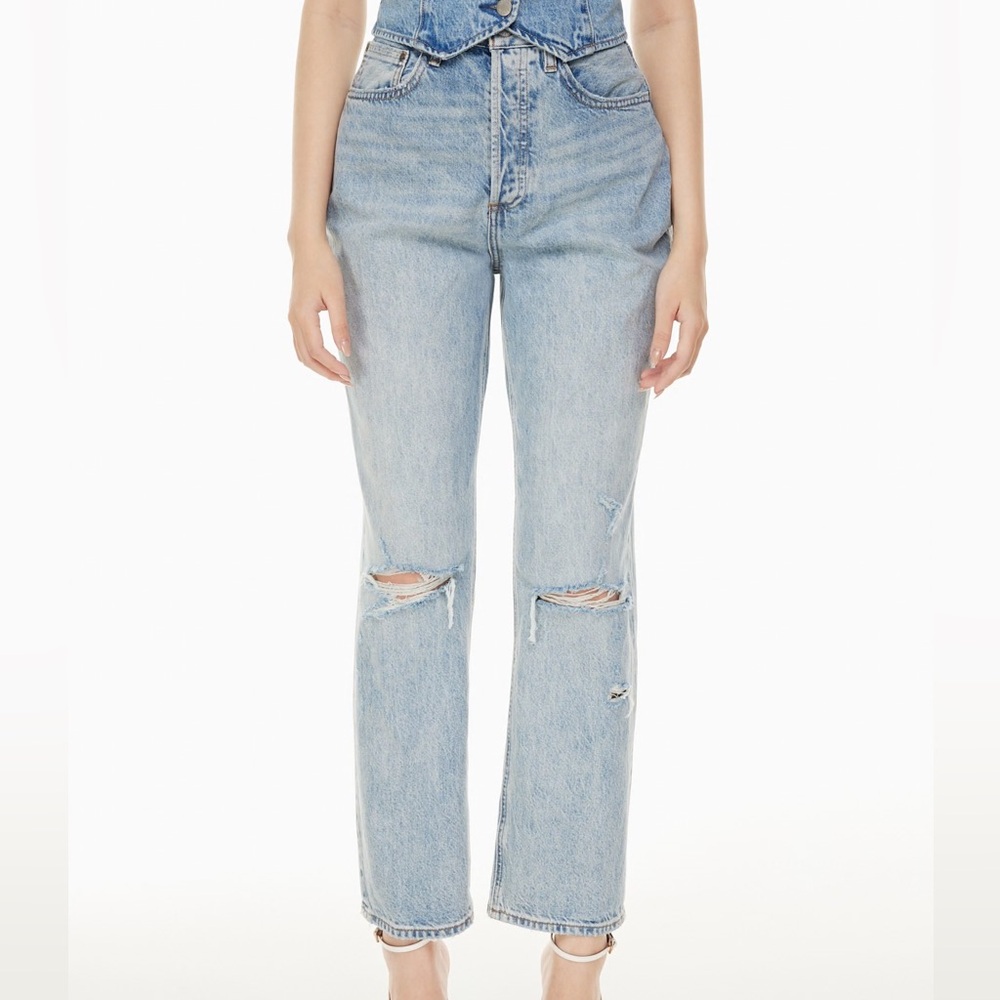 Aritzia Denim Forum ‘90s Loose Jean